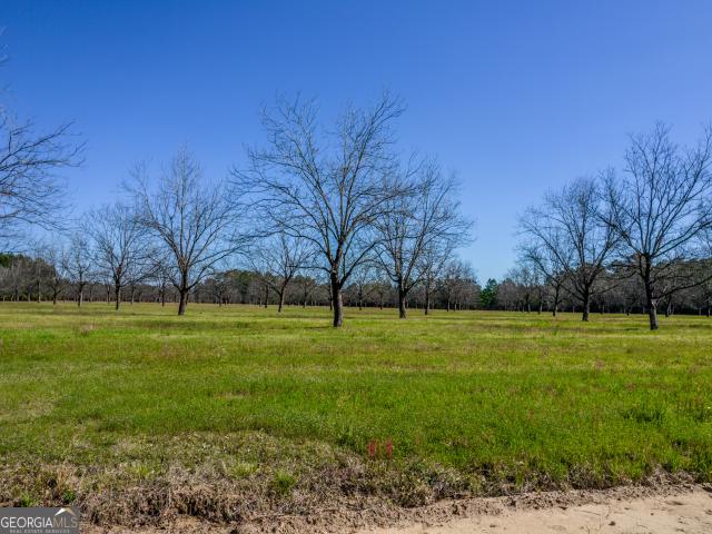 Land for sale in Cobbtown, Candler County