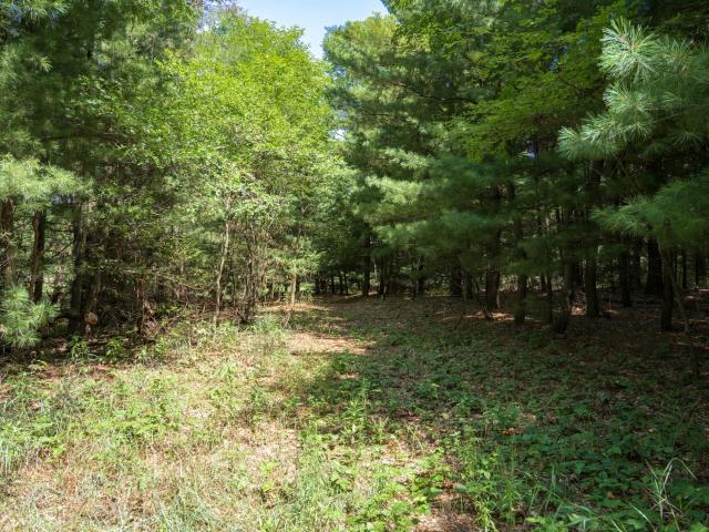 Land for sale in Juneau, Wisconsin