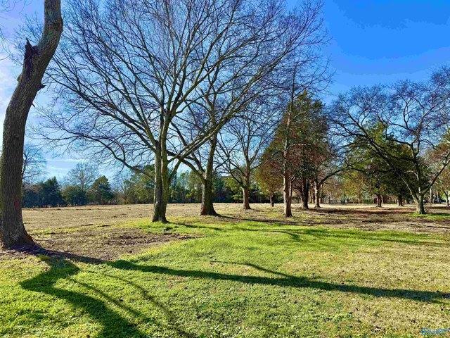 Land for sale in Danville, Alabama