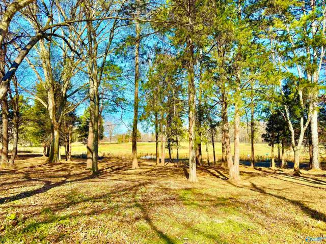 Land for sale in Danville, Alabama