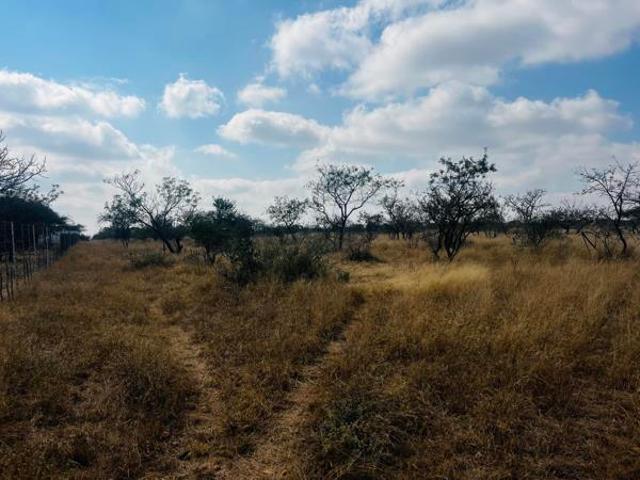 Land for sale in Seshego, Limpopo