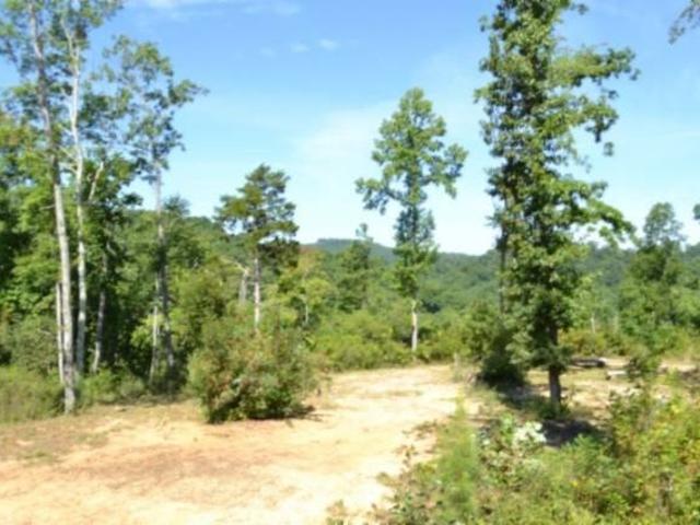 Land for sale in Tennessee