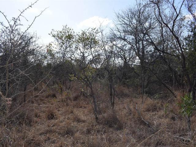 Property for sale in Mopani, Limpopo