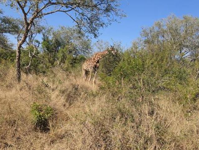 Property for sale in Mopani, Limpopo