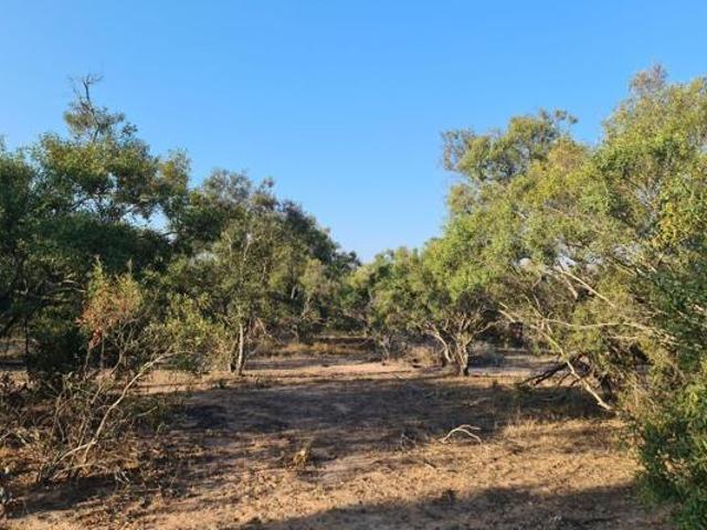 Property for sale in Mopani, Limpopo