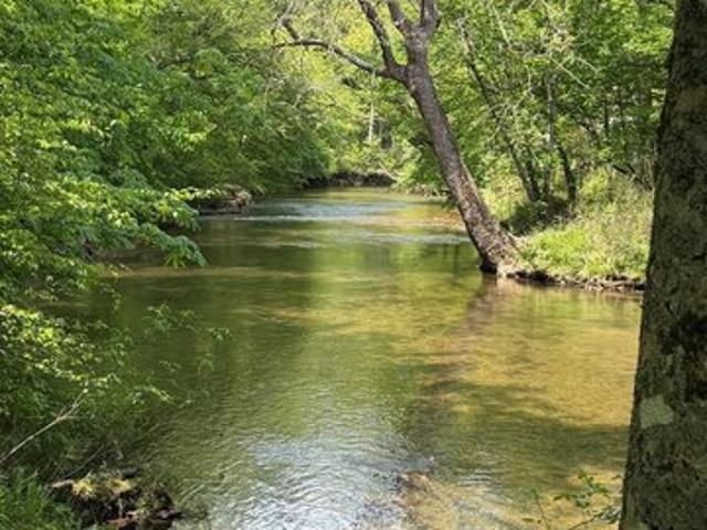 Land for sale in Suches, Georgia