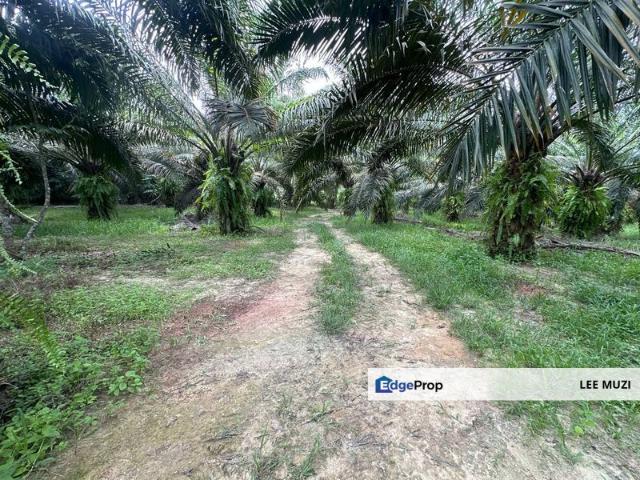 Shop for sale in Malim Nawar, Kampar