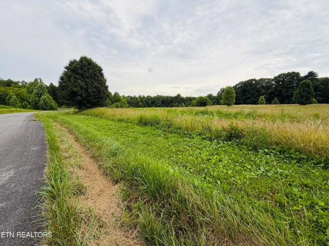 Land for sale in Tennessee