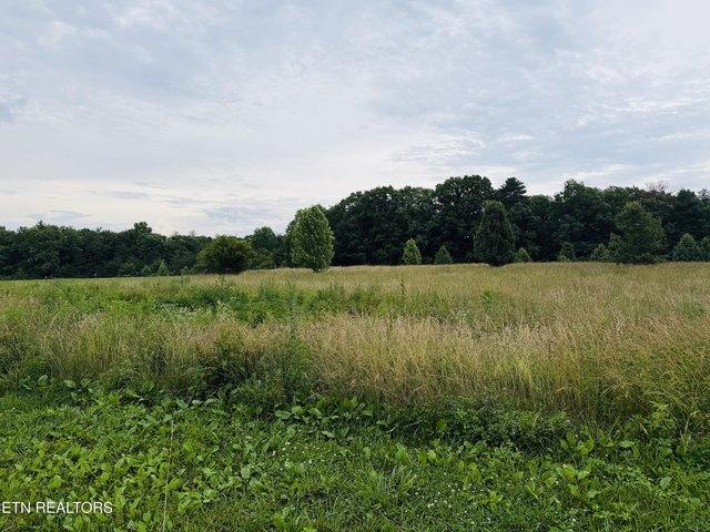 Land for sale in Jamestown, Middle Tennessee