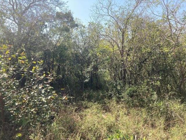 Property for sale in Mopani, Limpopo