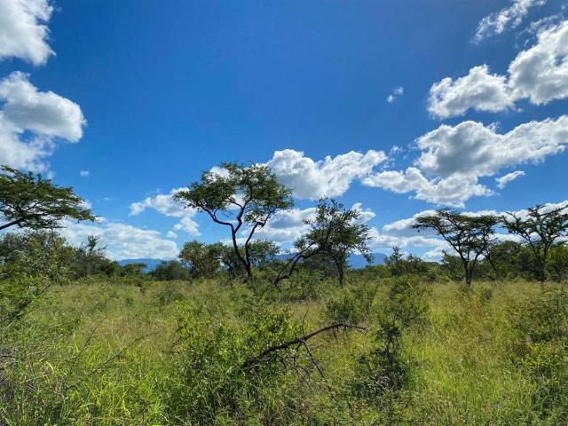 Property for sale in Mopani, Limpopo