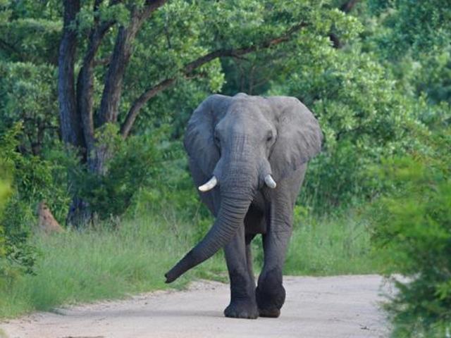 Property for sale in Mopani, Limpopo