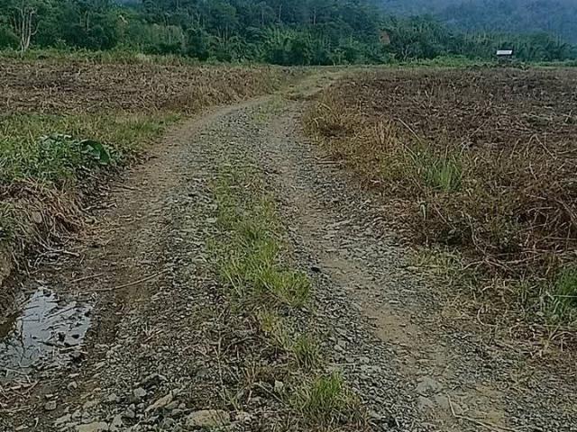 Farm for sale in Malaybalay