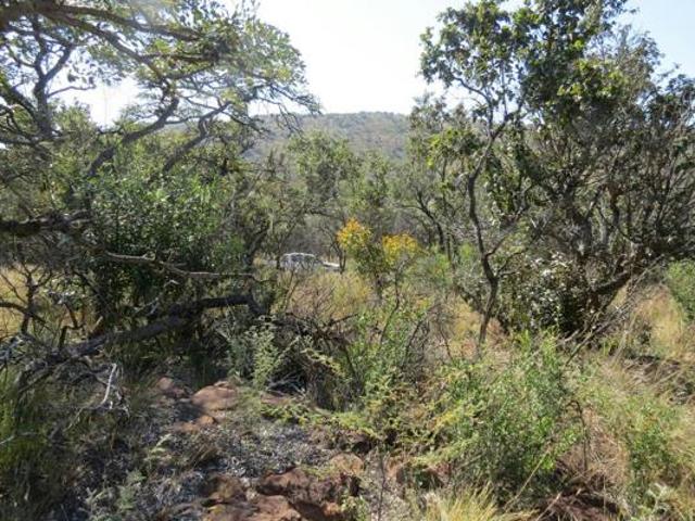 Property for sale in Limpopo