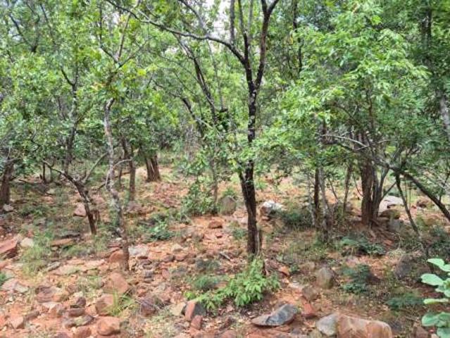 Property for sale in Mopani, Limpopo