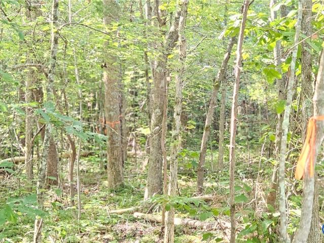 Land for sale in Virginia