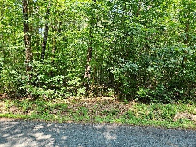Land for sale in Virginia