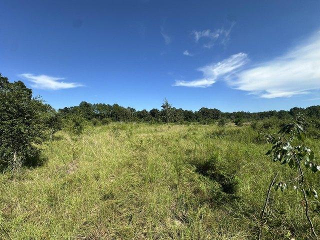 Land for sale in Milton, Santa Rosa County