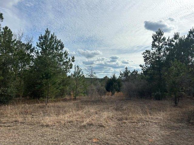 Land for sale in Dale, Alabama
