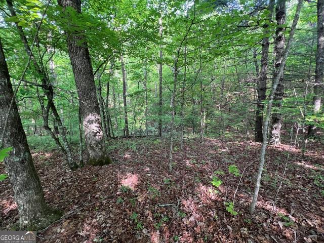 Land for sale in Murphy, North Carolina