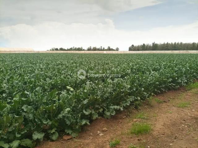 Land for sale in Nanyuki, Laikipia