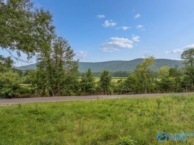 Land for sale in Stevenson, Alabama