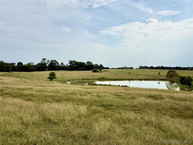 Land for sale in Samson, Alabama