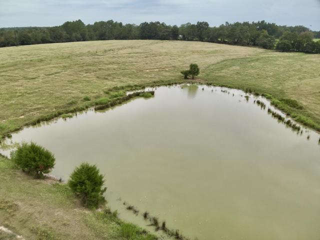 Land for sale in Samson, Coffee County