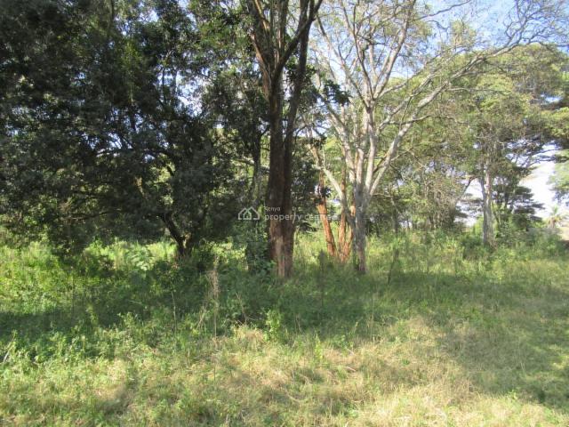 Land for sale in Karen, Kiambu
