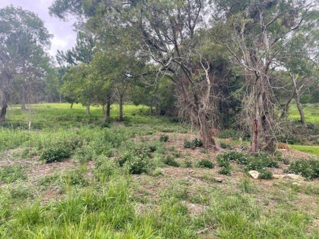 Land for sale in Toombul, Queensland