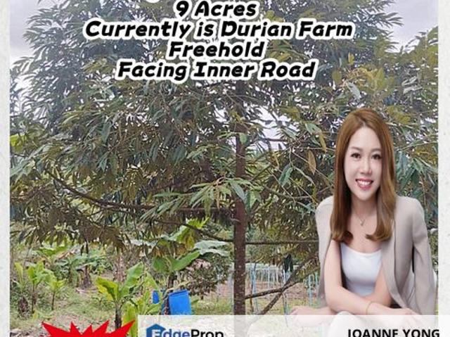 House for sale in Pekan Nanas, Johor