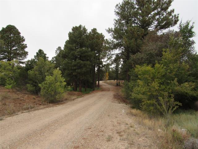 Land for sale in Pecos, New Mexico