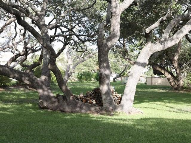 Land for sale in Rockport, Texas