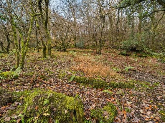 House for sale in Kentisbury, Devon