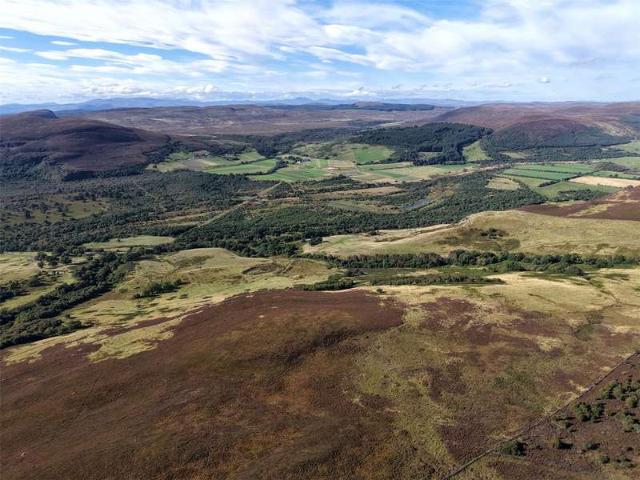 Land for sale in Rogart, Scotland