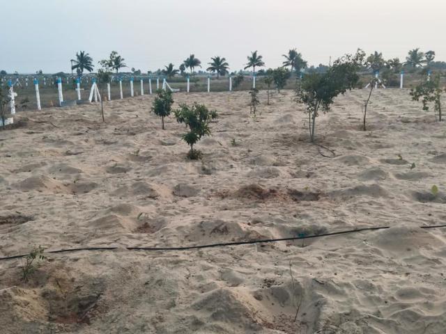 House for sale in Mamallapuram, Tamil Nadu