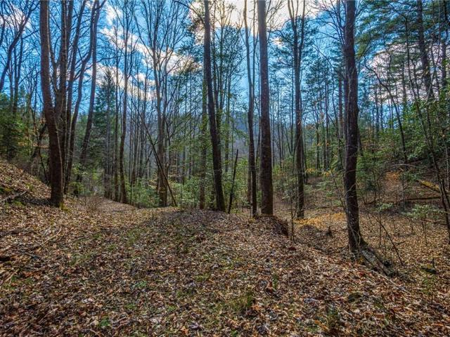 House for sale in Georgia