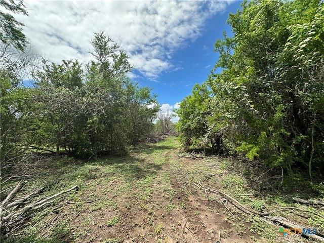 Land for sale in Dewitt, Texas