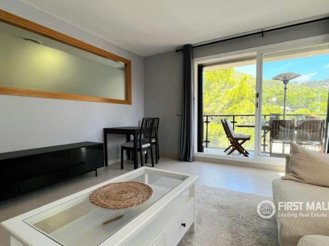 Apartamento en alquiler en Port d'Andratx, Serra de Tramuntana