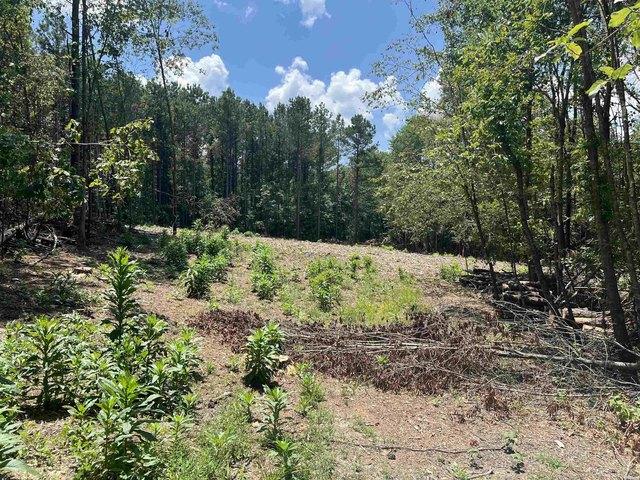 Land for sale in Ark