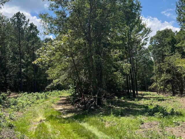 Land for sale in Ark