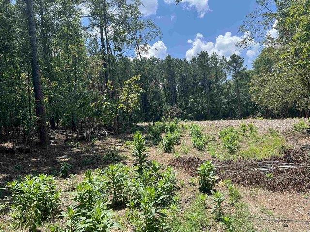 Land for sale in Ark