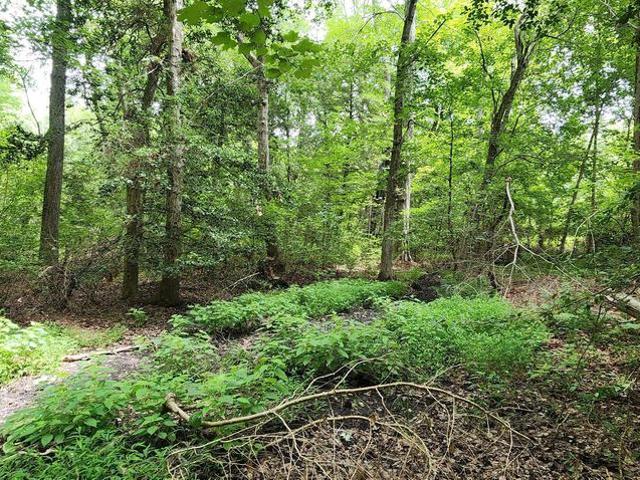Land for sale in Girdletree, Maryland