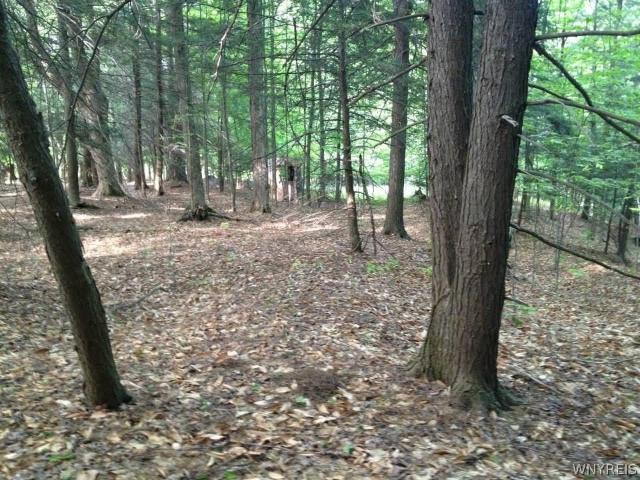 Land for sale in Town of Holland, Erie County