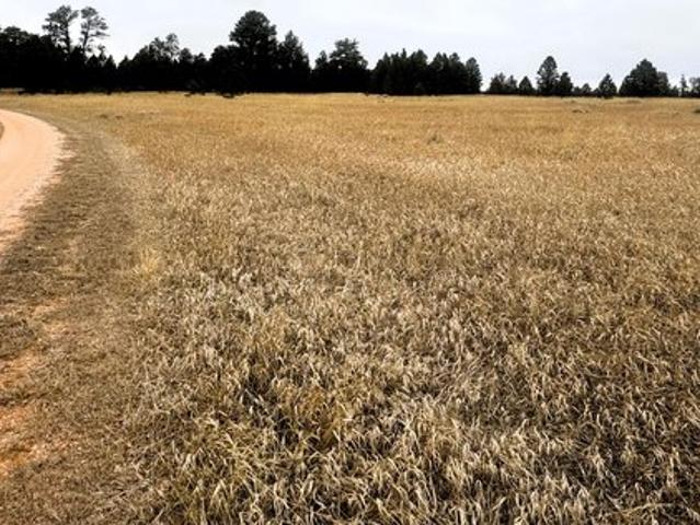 Land for sale in Wyoming
