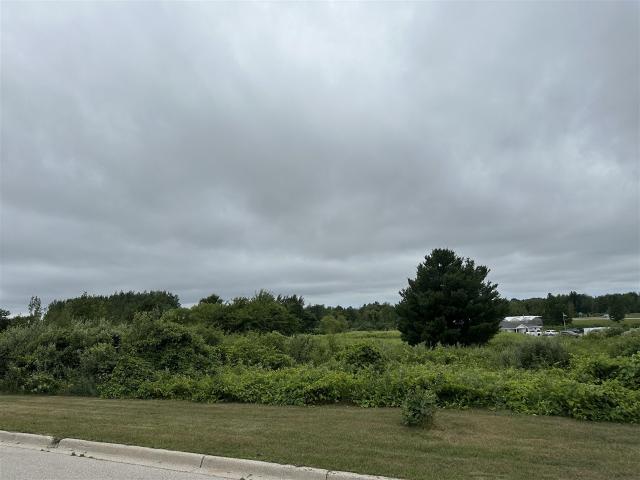 Land for sale in Hart, Michigan