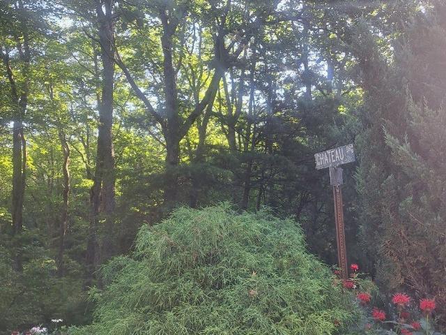 Land for sale in Blairsville, Georgia