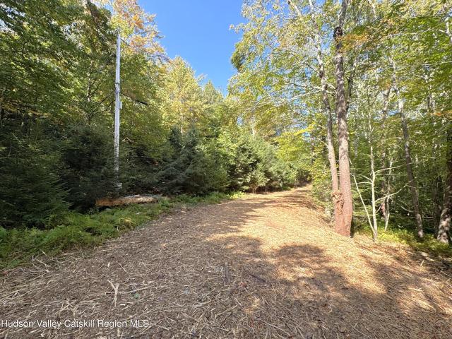 Property for sale in East Jewett, New York