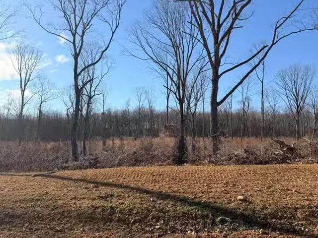 House for rent in Flat Rock, Alabama