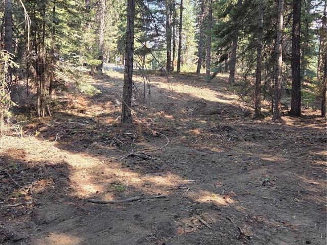 Land for sale in Ronald, Washington